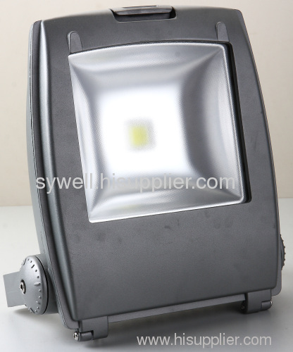 COB LED Floodlight IP65