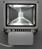 20W COB LED Flood light IP65