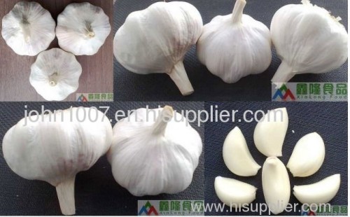 pure white garlic