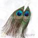 feather earrings wholesale