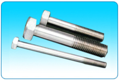 Stainless steel bolt