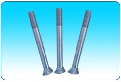 Stainless steel bolt