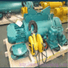 Wire rope hoist CD1