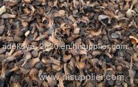 palm kernel shell