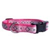 Pet Collar GW-B049