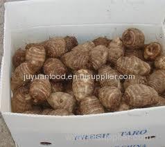 2011 New Crop Shandong Fresh Taro