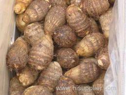 2011 New Crop High Quality Fresh Taro