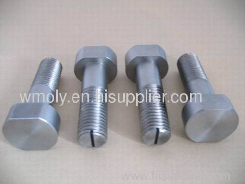 molybdenum screw,target,special shape parts