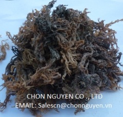 dried seaweed