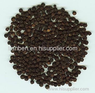pure piperine 98% Black peper Extract