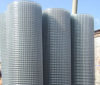 Welded Wire Mesh (factory)