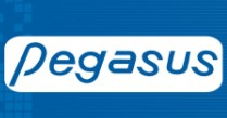 Pegasus Equipments Export Limited