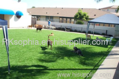 artificial grass dogs