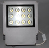 12W Led Flood light IP65