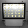 30W High Power LED Floodlight IP65