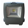 30W COB LED floodlight