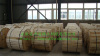 1X7 EHS Galvanized steel cable