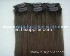 Clip in Hair Extensions 100% human hair silk straight