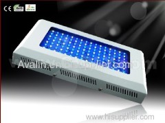 powerful 120w aquarium light