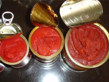tomato paste (canned ,drum ,bag)