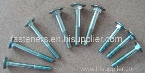 carriage bolt/din603, BS4399,DIN975 976