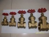 Brass gate valve