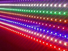 LED strip 3528R60-8/decrotive night neon Christmas lights/lighting/lamps/bulbs