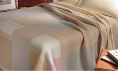 100% mulberry silk blanket