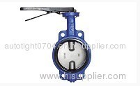 Butterfly Valve