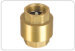 Forged brass check valve