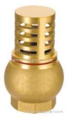 brass check valve