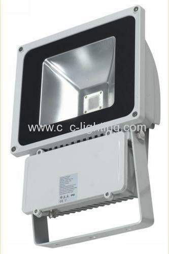 70W/80W COB Led Floodlight