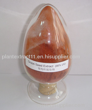 grape seed extract 98%,95% Proanthocyanidins