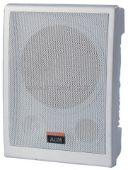 25 W In-ceiling Speaker