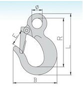 DS 114 Eye Slip Hook With Latch China Manufacturer Supplier