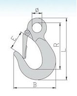 DS117 Eye Slip Hook With Latch China Manufacturer Supplier