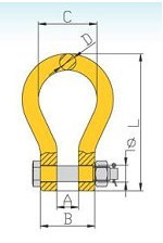 DS222 Bow Shackle China Manufacturer Supplier