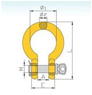 DS290 G80 Shackle China Manufacturer Supplier