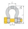 DS362 Bolt Type Anchor Shackle China Manufacturer Supplier