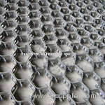 Hex Nuts