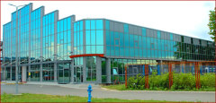Culjak