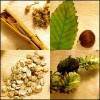 Herbal Extract