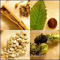 Herbal Extract