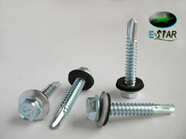 hex head with EPDM drilling screw