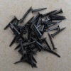 hobnails_nails_for_shoe_10mm_25mm_summ shoe tacks