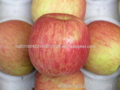 fresh apple