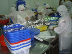 South China Seafood Co.,Ltd