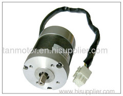 58mm dc brushless motor