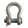 Pin shackle