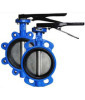 butterfly valve